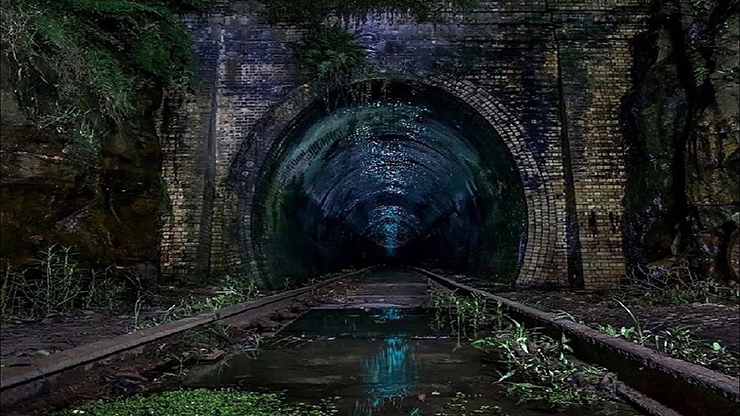 Không rõ liệu đường hầm đom đóm độc đáo hiện có còn mở cửa cho khách du lịch hay không. Nếu có cơ hội được tận mắt nhìn thấy khung cảnh phát sáng trong đường hầm, bạn sẽ yên lặng tận hưởng điều này.
