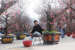 Ảnh: Xả lỗ vốn,  chợ hoa sáng 30 Tết vẫn ế ẩm