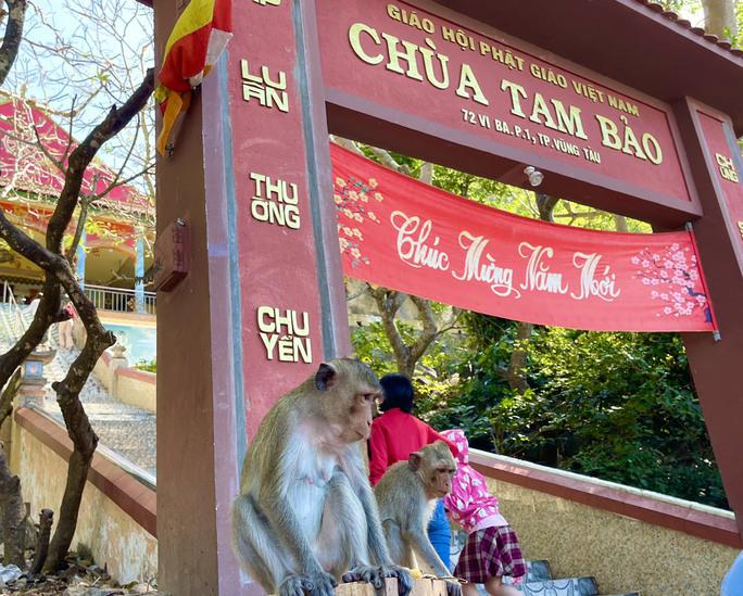 Chùa Tam Bảo do Hòa thượng Thích Giới Nghiêm khởi dựng từ đầu những năm 1970 với lối kiến trúc ban đầu rất đơn sơ. Năm 1984, Hòa thượng Thích Giới Nghiêm viên tịch, các tăng ni và sư trụ trì chùa Tam Bảo sau này vẫn kế tục xây dựng và trùng tu chùa Tam Bảo như ngày nay.