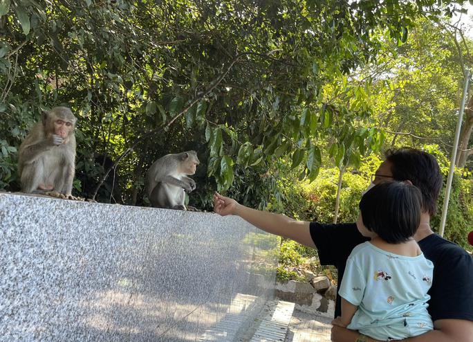 So với đàn khỉ một số nơi thì những con khỉ ở đây khá thân thiện, chúng chỉ dơ tay ra đón thức ăn khi con người cho, nhưng chưa ghi nhận tình trạng tấn công con người như một số nơi khác.