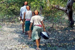 Thế giới - "Người 2 mặt": Hổ Bengal thấy không dám vồ?