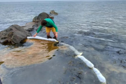 Phi thường - kỳ quặc - Tóc người trở thành "chiến binh" giải cứu môi trường