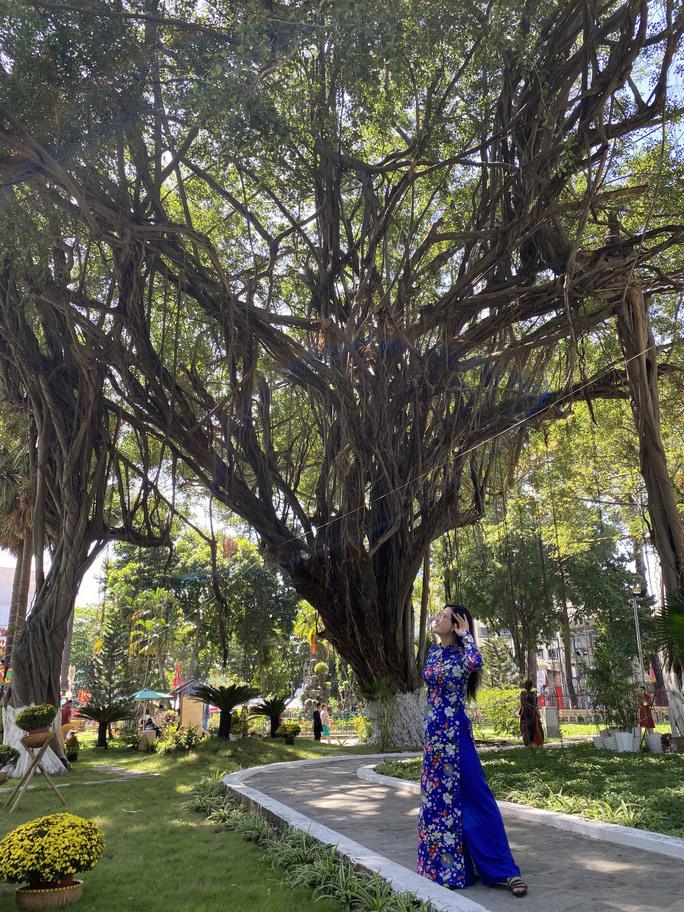 Dấu ấn trăm năm của Lăng Ông còn nằm ở nhiều cổ thụ, cây cảnh quý hiếm, lâu đời được chăm sóc tận tình; giữ được mảng xanh tuyệt đẹp ngay giữa lòng thành phố.