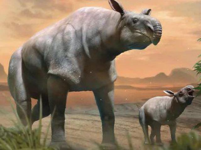 Phi thường - kỳ quặc - Những "quái vật" lớn nhất từng sống trên Trái Đất