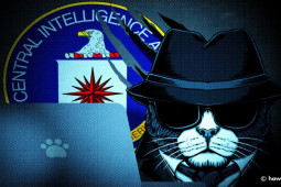 CIA Mỹ đổ 20 triệu USD biến mèo thành ”điệp viên” để tung vào Liên Xô ra sao?