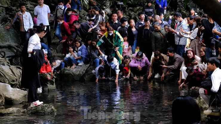 Theo ghi nhận của phóng viên trong ngày 26/1 (tức mùng 5 Tết), tại suối cá thần Cẩm Lương (huyện Cẩm Thủy, tỉnh Thanh Hóa) đã có hàng nghìn du khách đến tham quan điểm du lịch này.