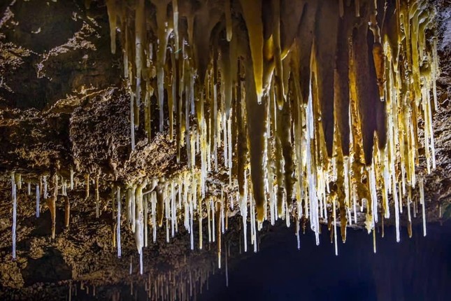 Hung Thoòng (Quảng Bình): Hệ thống hang động mới đẹp siêu thực, không kém hang Sơn Đoòng - 7