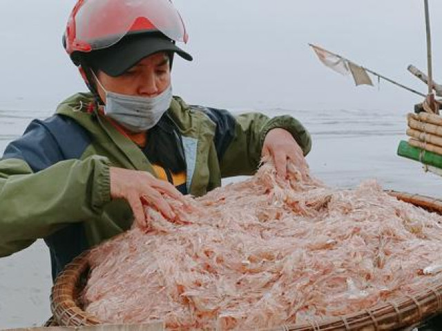 Ngư dân đón ”lộc biển” đầu năm, tàu cứ cập bờ là ”cháy hàng”