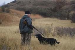 Thế giới - Người đàn ông bị chó bắn chết