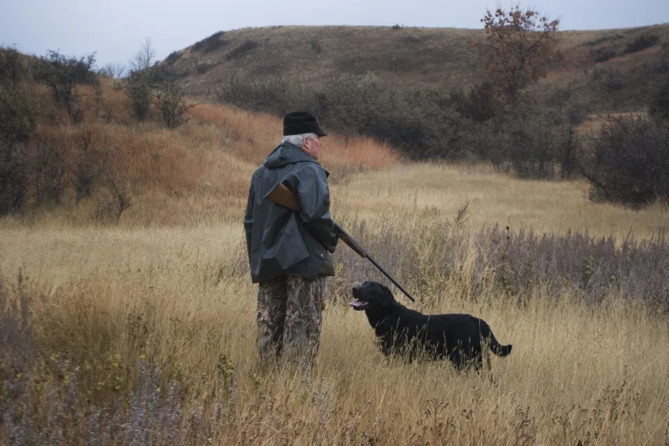 Một người đàn ông bị chó vô tình bắn chết bằng khẩu súng săn. Ảnh minh họa: Getty Images