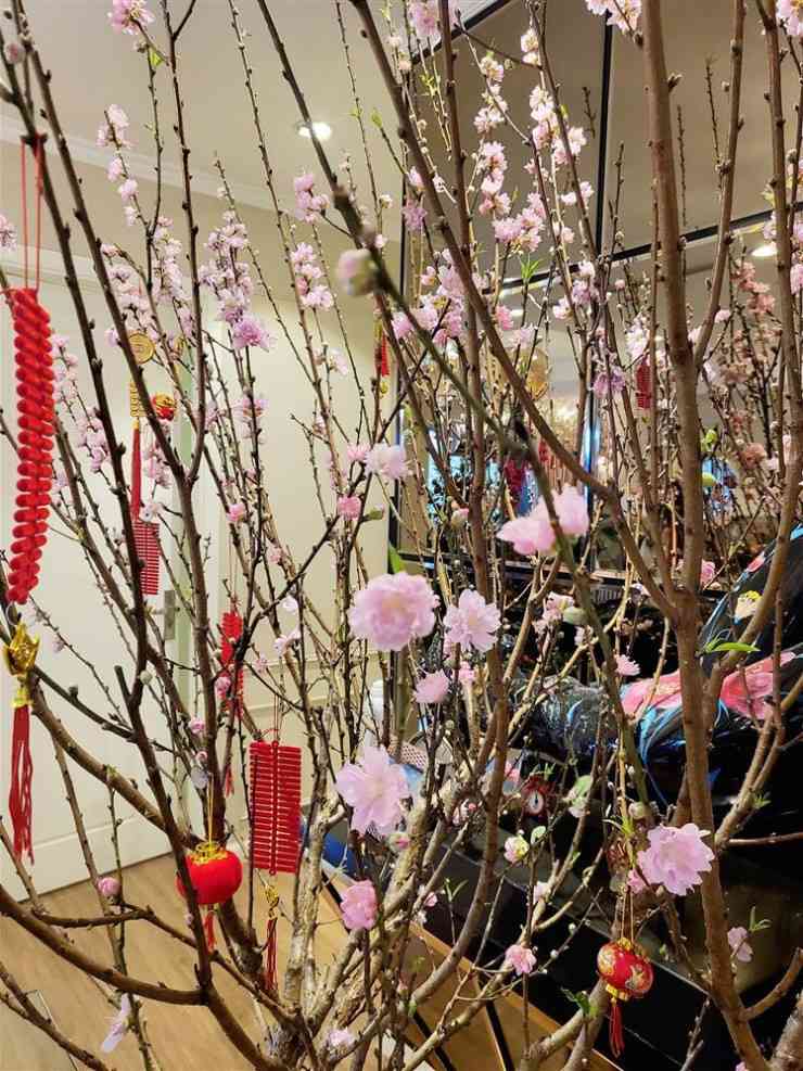 Một năm quá viên mãn, vợ Mạnh Trường hạnh phúc hé lộ nhà sang - 5