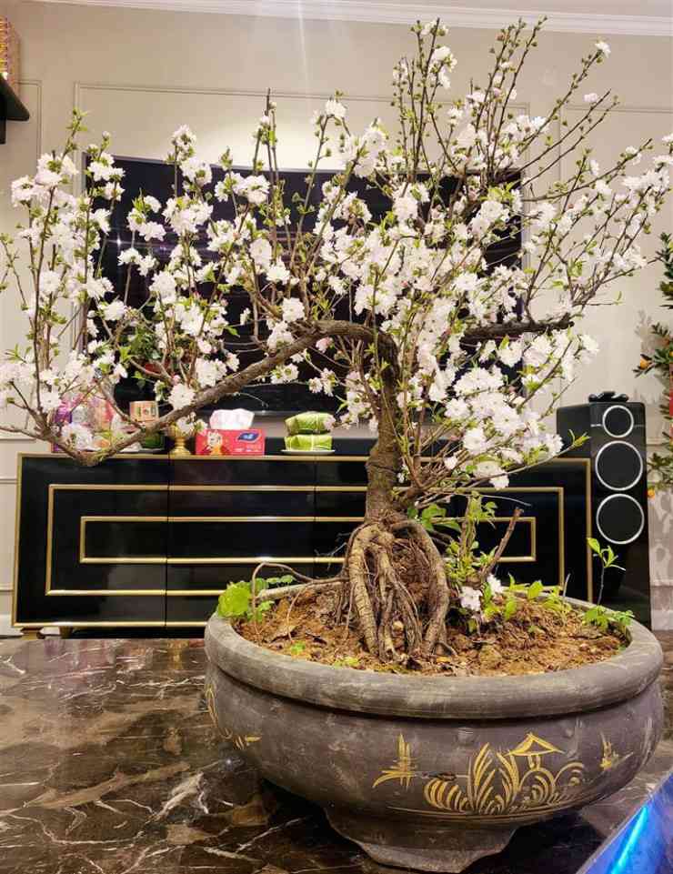 Một năm quá viên mãn, vợ Mạnh Trường hạnh phúc hé lộ nhà sang - 6