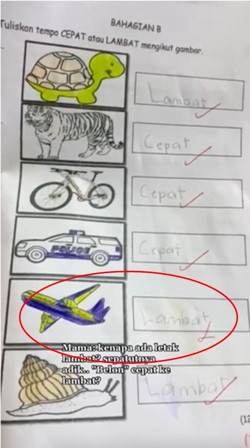 Bé gái lớp 3 bị trừ điểm bài kiểm tra vì một câu trả lời mà dân mạng đều bảo “rất hợp lý” - 2