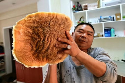 Thị trường - Tiêu dùng - Tìm thấy khối lạ, có người trả gần 3 tỷ đồng không bán, người đàn ông giữ như báu vật