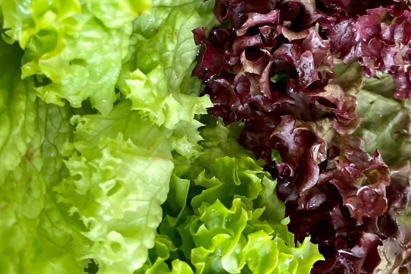 Top thực phẩm cải thiện da và mắt cho phái mạnh tốt nhất - 11