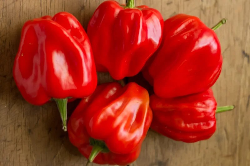 Top thực phẩm cải thiện da và mắt cho phái mạnh tốt nhất - 4