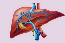 Tết Nguyên đán ăn uống nhiều dễ tích tụ độc tố, hãy thanh lọc ruột, giải độc gan bằng cách này