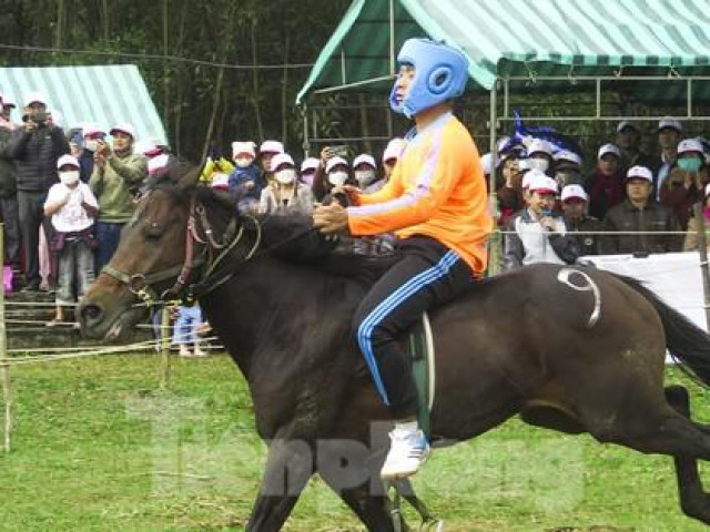 Lễ hội đua ngựa có một không hai ở Phú Yên