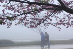 Tin tức trong ngày - Miền Bắc sắp kết thúc nắng hanh, trời chuyển nồm ẩm, mưa phùn