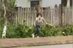 Tin tức trong ngày - Phẫn nộ với hình ảnh nữ du khách "trộm" hoa cẩm tú cầu ở Măng Đen