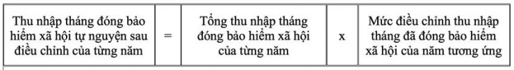 Điều chỉnh tiền lương, thu nhập đã đóng BHXH năm 2023 - 3