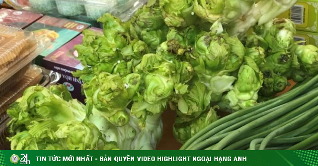 Loại rau đặc sản miền núi xuống phố, dân buôn ngày bán cả tạ