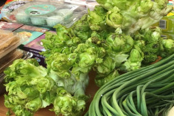 Thị trường - Tiêu dùng - Loại rau đặc sản miền núi xuống phố, dân buôn ngày bán cả tạ