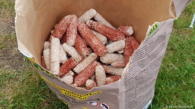 Nhiều công ty thu mua lõi ngô để xay ra làm thức ăn cho các con vật nhai lại như ngựa, bò.