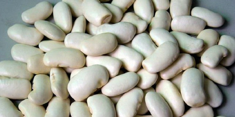 8 thực phẩm chứa carbohydrate phức tạp cực tốt giúp nam giới giảm cân - 7