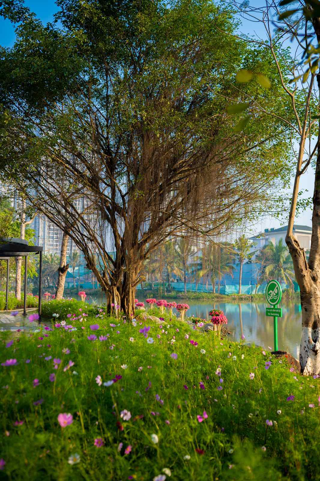 Ecopark đưa vào hoạt động cung đường dạo bộ đẹp nhất miền Bắc - 9