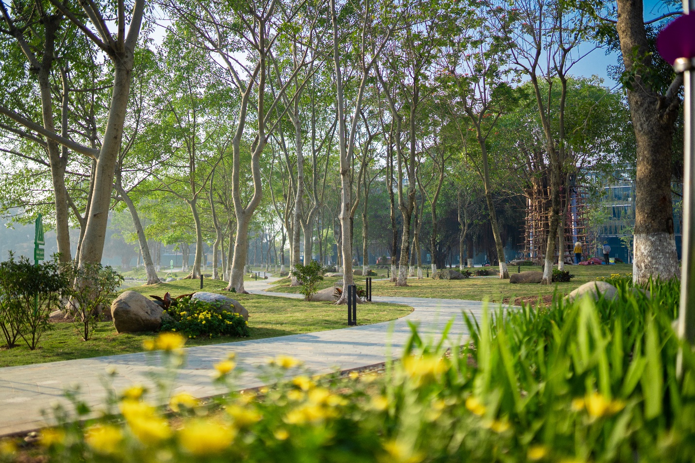 Ecopark đưa vào hoạt động cung đường dạo bộ đẹp nhất miền Bắc - 2