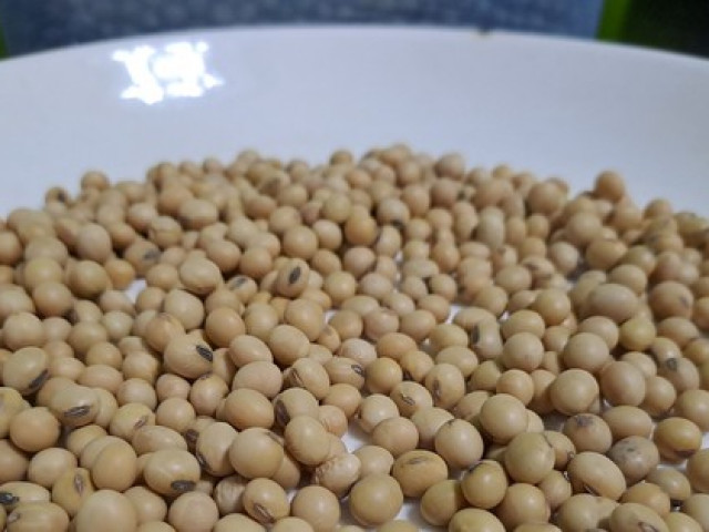 Sức khỏe đời sống - Uống nhiều rượu bia ngày tết, làm gì để "phục hồi" sức khỏe cho lá gan?