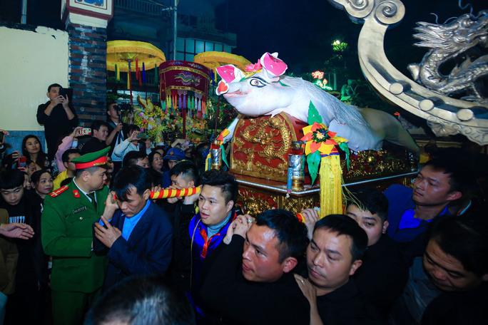 Trong khuôn viên của đình rất đông các trai tráng khiêng " ông lợn" vào lễ tế