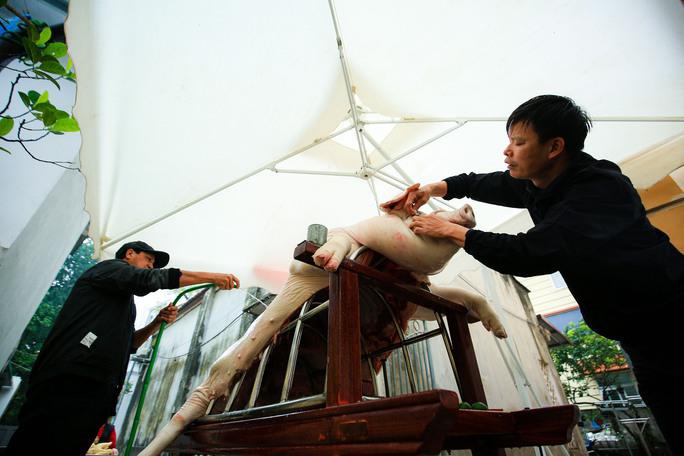 Trước đó, sau khi đã thịt, "ông lợn" sẽ được đặt lên một chiếc khung tuýp nước bằng sắt đã được uốn cong để tạo dáng chống mình lợn lên cao và được đặt lên chiếc kiệu cao khoảng 1,2 m tạo dáng cho “ông lợn”.