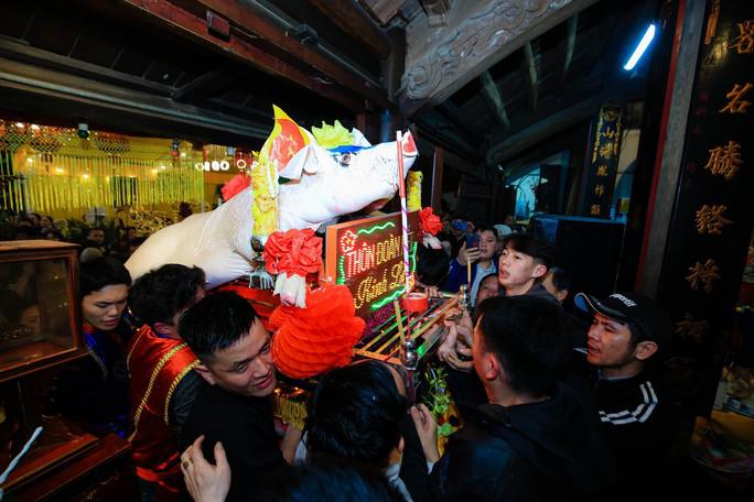 Các "ông lợn" trong lễ rước lợn được trang trí đẹp mắt với mắt giả, mũi giả và đặt lên một chiếc ban có lọng che để rước ra đình làng.