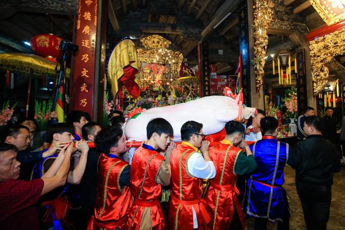 Do các "ông lợn" đều rất nặng nên những người khiêng vác đều phải là thanh niên trai tráng.