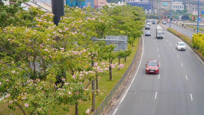 Thời tiết tại TP HCM trong ngày 5-2 đêm không mưa, ngày nắng