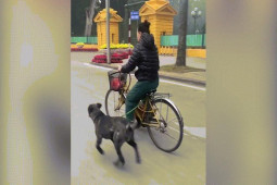 Xe máy - Xe đạp - Clip: Siêu phẩm xe đạp động cơ "hai cẩu" lực