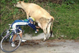 Tranh vui - Đỡ không nổi với những tình huống "éo le" bắt gặp trong cuộc sống