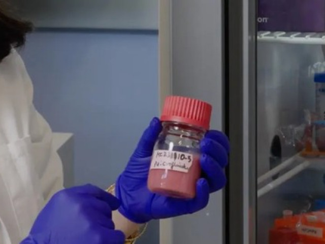 Sức khỏe đời sống - Sắp chế tạo thành công máu nhân tạo