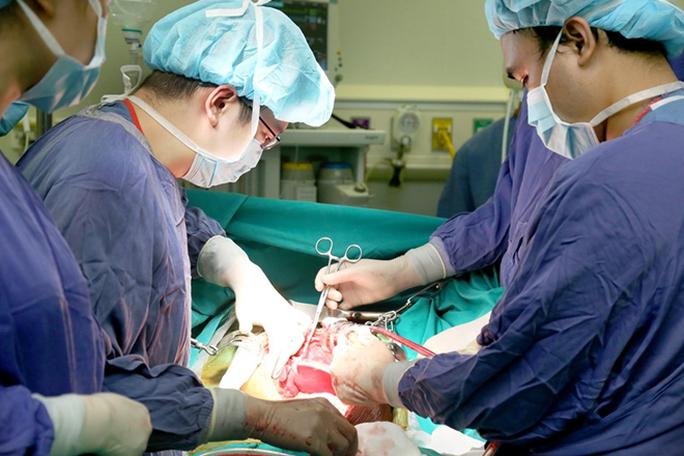 Việt Nam đã ghép được 8 loại bộ phận cơ thể người với gần 7.300 ca ghép tạng