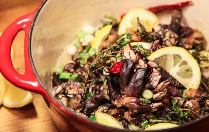 Khúc gỗ phủ kín "ngón tay của quỷ" giá hàng nghìn USD trôi vào bờ biển - 2