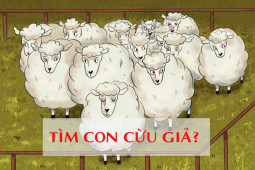 Bạn trẻ - Cuộc sống - Nghĩ cả ngày chưa chắc giải được các câu đố này