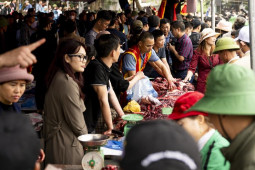 Thị trường - Tiêu dùng - Tranh nhau mua thịt trâu chọi thắng trận giá 5 triệu đồng/kg