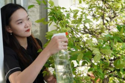 Bạn trẻ - Cuộc sống - Chân dung cô gái trẻ ở TP HCM viết đơn tình nguyện nhập ngũ