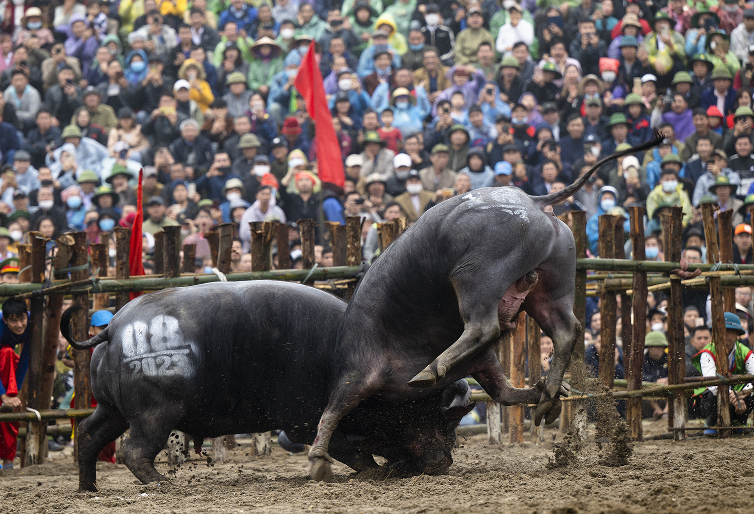 Thót tim trước màn quyết chiến "nảy lửa" của các "đấu sĩ" tranh ngôi "ngưu vương" - 18