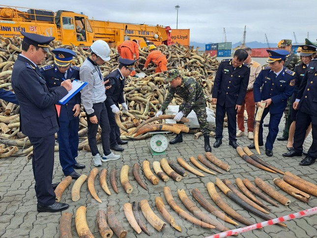 Cục Hải quan Hải Phòng đã giao Đội Kiểm soát hải quan phối hợp với Chi cục Hải quan cửa khẩu cảng Đình Vũ xác minh nguồn tin và xây dựng kế hoạch kiểm tra bắt giữ.