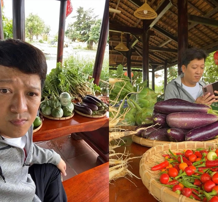 Từ năm 2021, Trường Giang đã trồng nhiều loại trái cây, rau củ quả trong vườn nhà.
