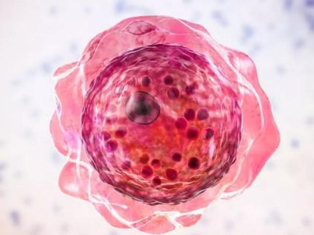 Sức khỏe đời sống - Đã tìm ra thuốc điều trị amip ăn não chết người