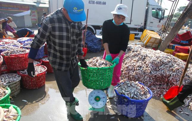 "Chưa biết sẽ làm đến lúc nào nhưng cũng không có việc gì hơn nữa. Cứ có sức khỏe là tôi lại theo mọi người ra cảng để làm thuê. Ngày nhiều cũng kiếm được 4-500 nghìn. Nhiều người chưa quen thì thấy mùi tanh hôi nhưng chúng tôi làm quen thấy bình thường", anh Nguyễn Ngọc Khang (trú phường Nghi Thủy, TX. Cửa Lò) chia sẻ.